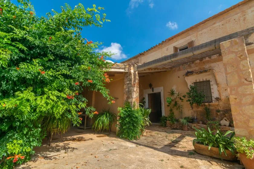 A stone courtyard with leafy plants and a shaded entrance.