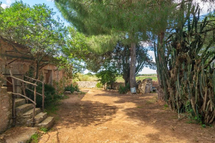 A shaded outdoor path runs between rustic stone buildings and leafy trees.
