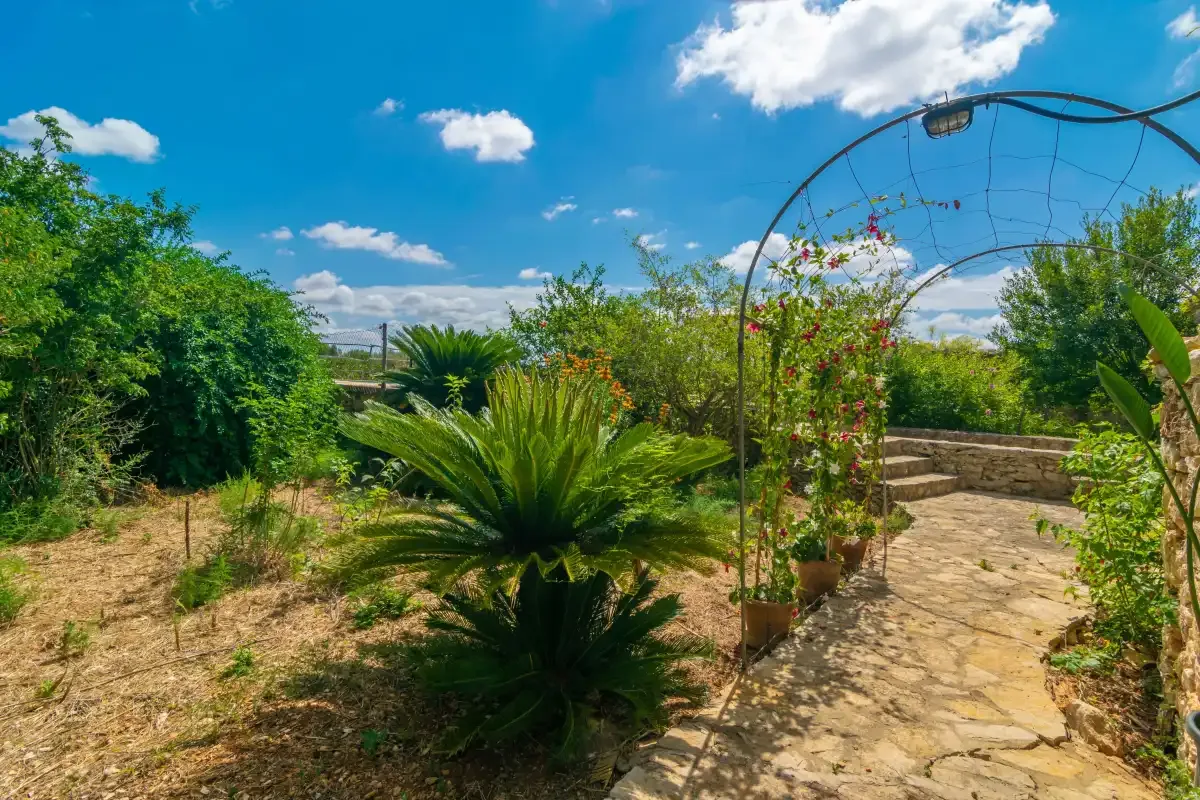 A garden path winds past lush plants beneath a flowering metal arch.