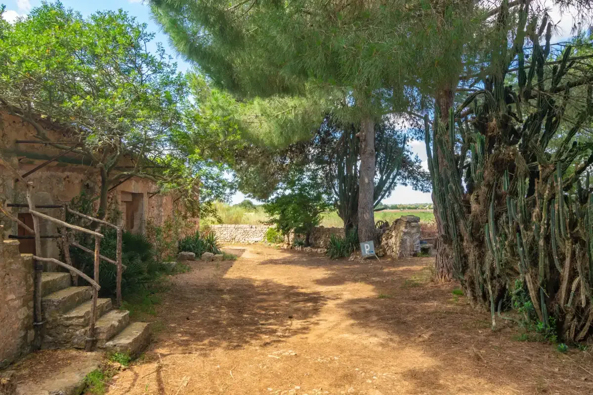 A shaded outdoor path runs between rustic buildings and trees.