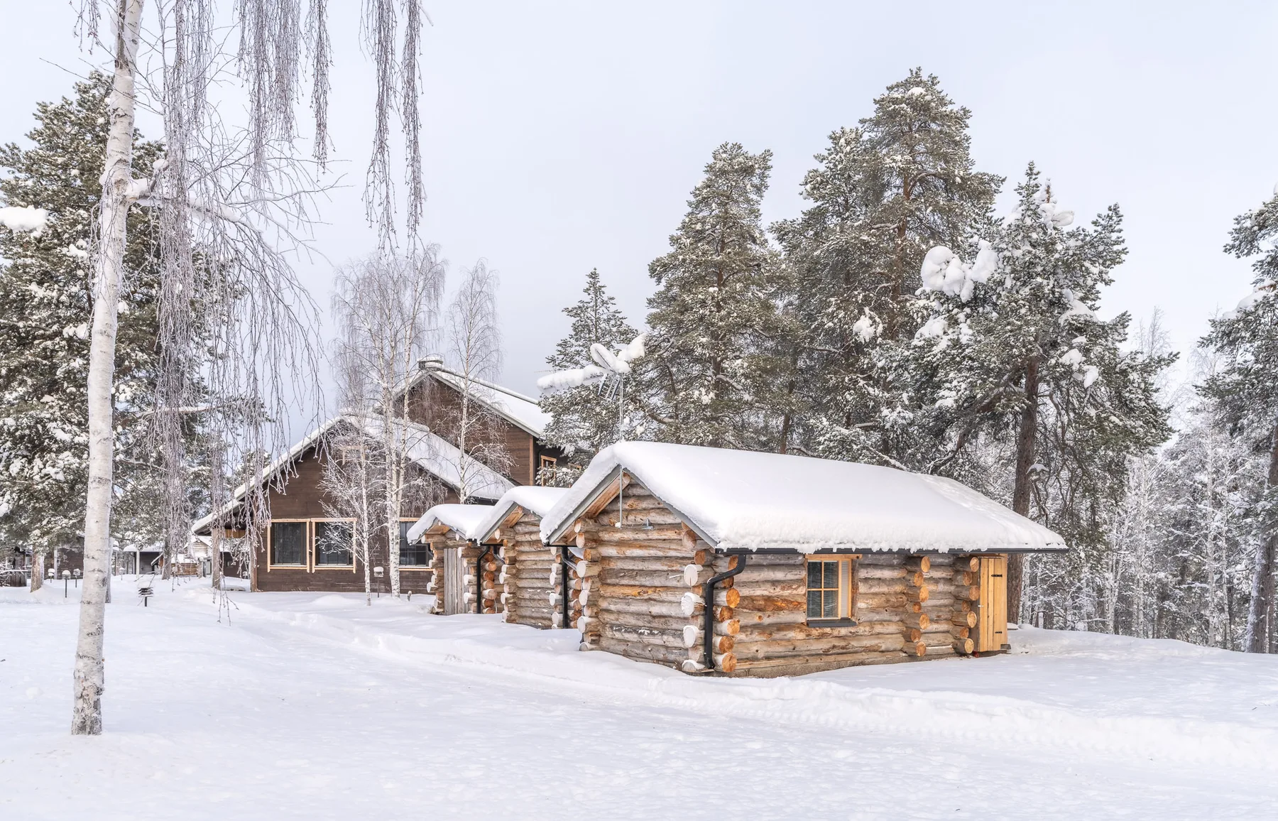 Arctic Log Cabin