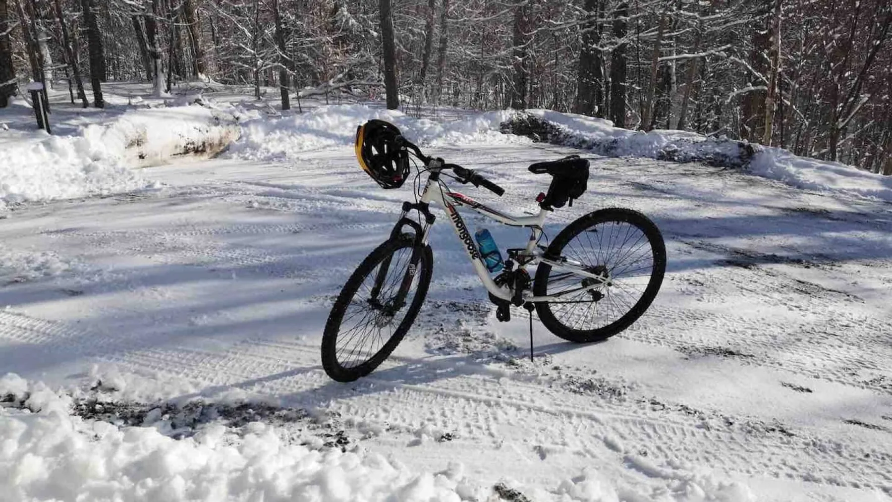 A bicycle stands on a snowy trail surrounded by winter woods.