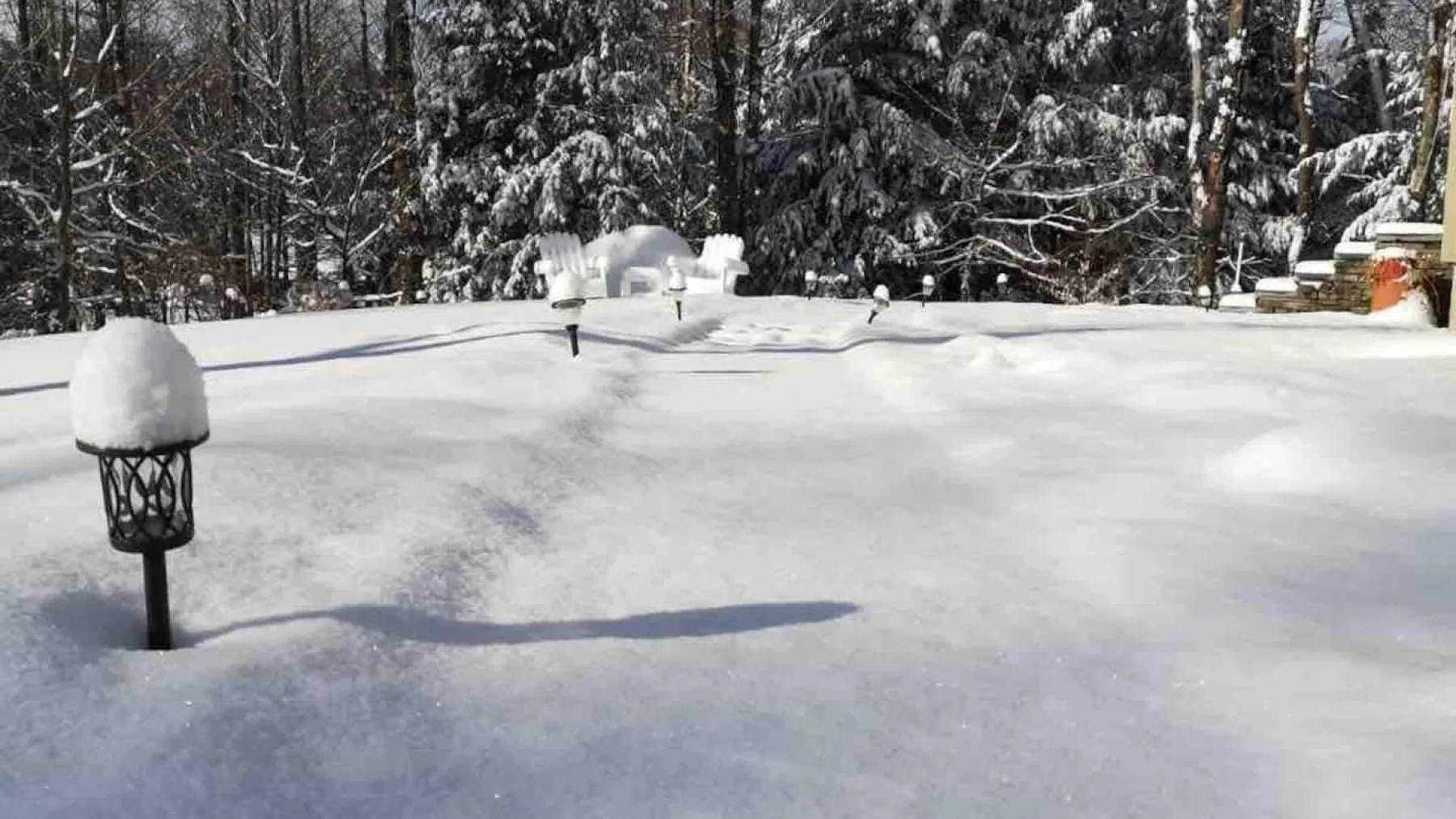 A snow-covered outdoor yard with trees in the background.
