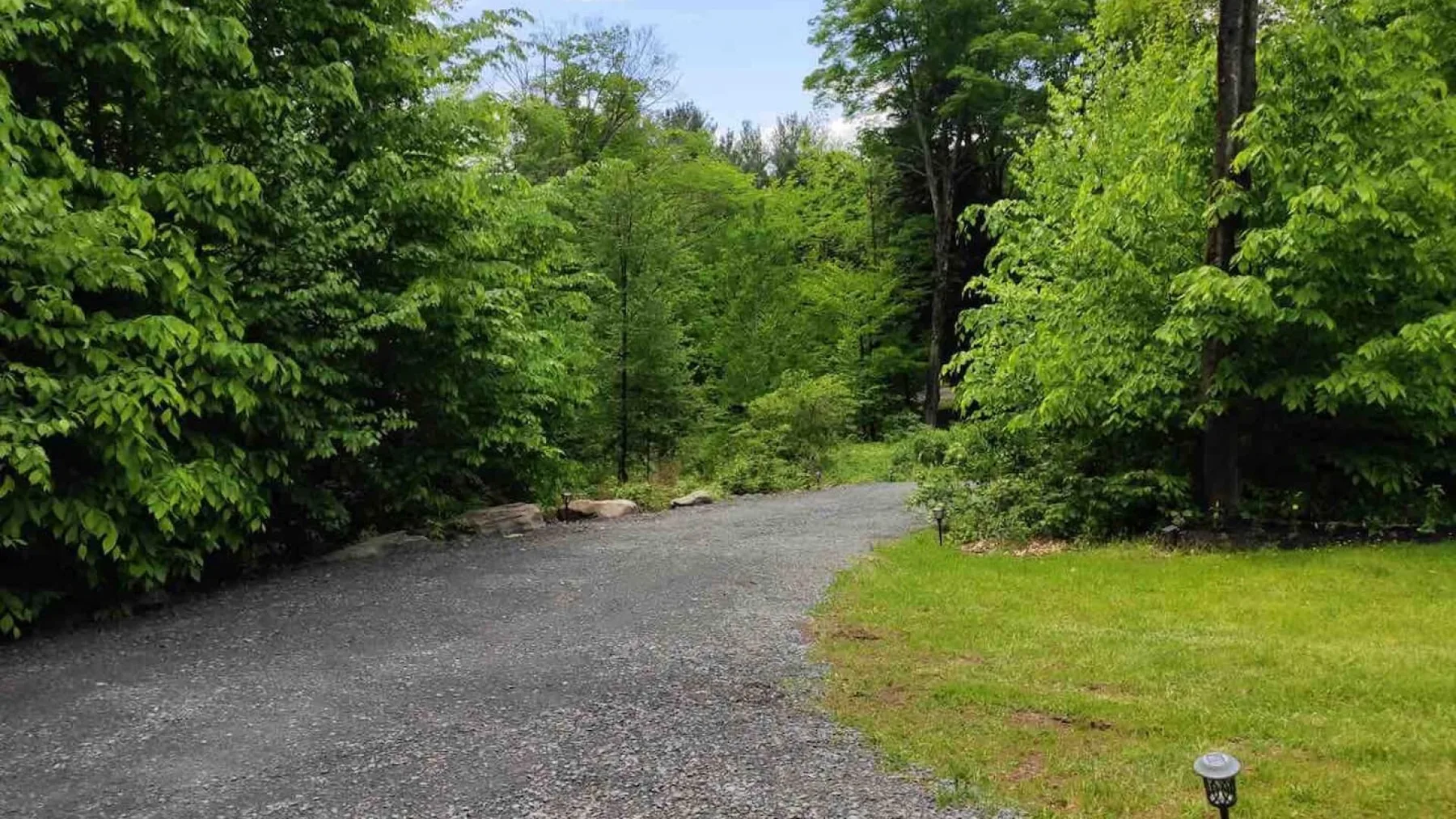 A gravel driveway curves through a wooded area beside a grassy patch.