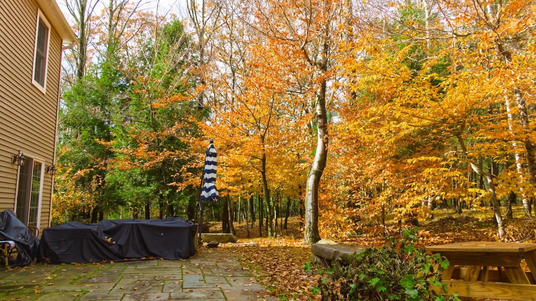 A stone patio beside a house overlooks a colorful autumn woodland.