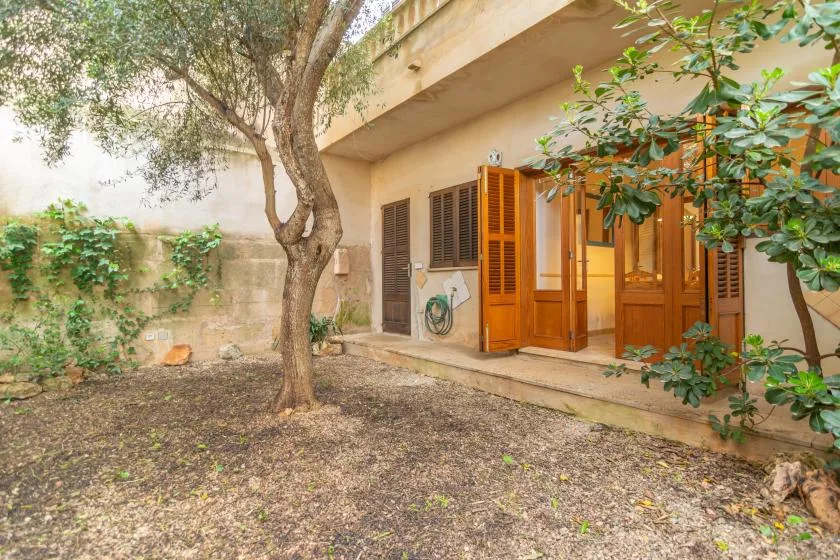 Un patio ajardinado con un árbol grande y puertas de madera junto al edificio.