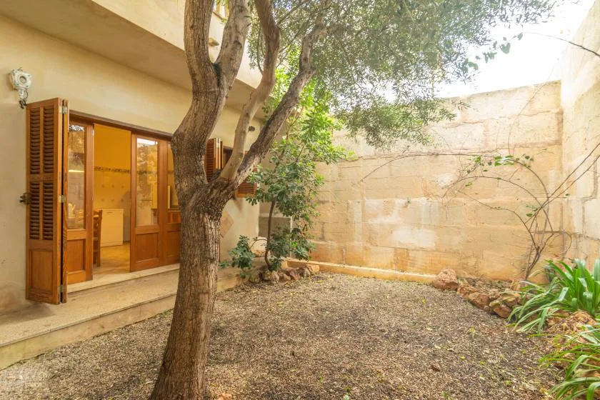 Un patio amurallado con un árbol junto a una puerta abierta.