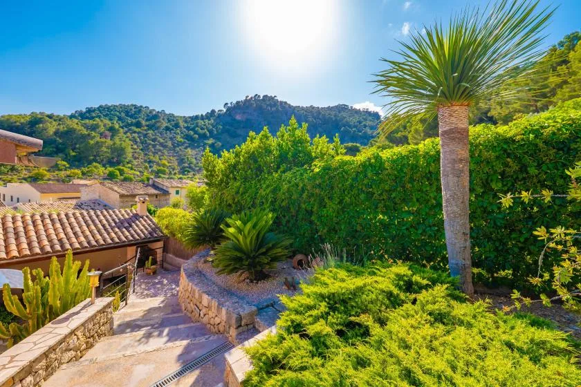 A sunny outdoor garden path winds past lush greenery, with hills in the background.