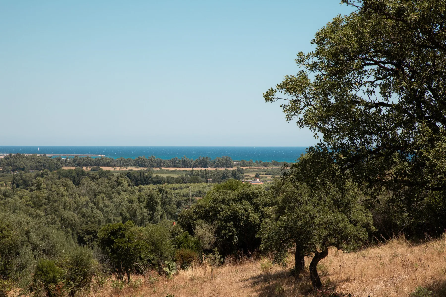 A hillside landscape overlooks wooded terrain and the sea beneath a clear sky.
