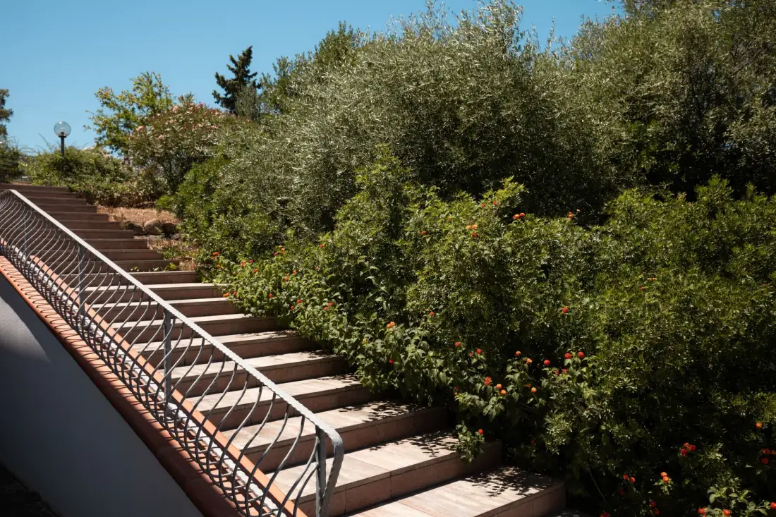An outdoor staircase rises beside dense green shrubs and flowering plants.