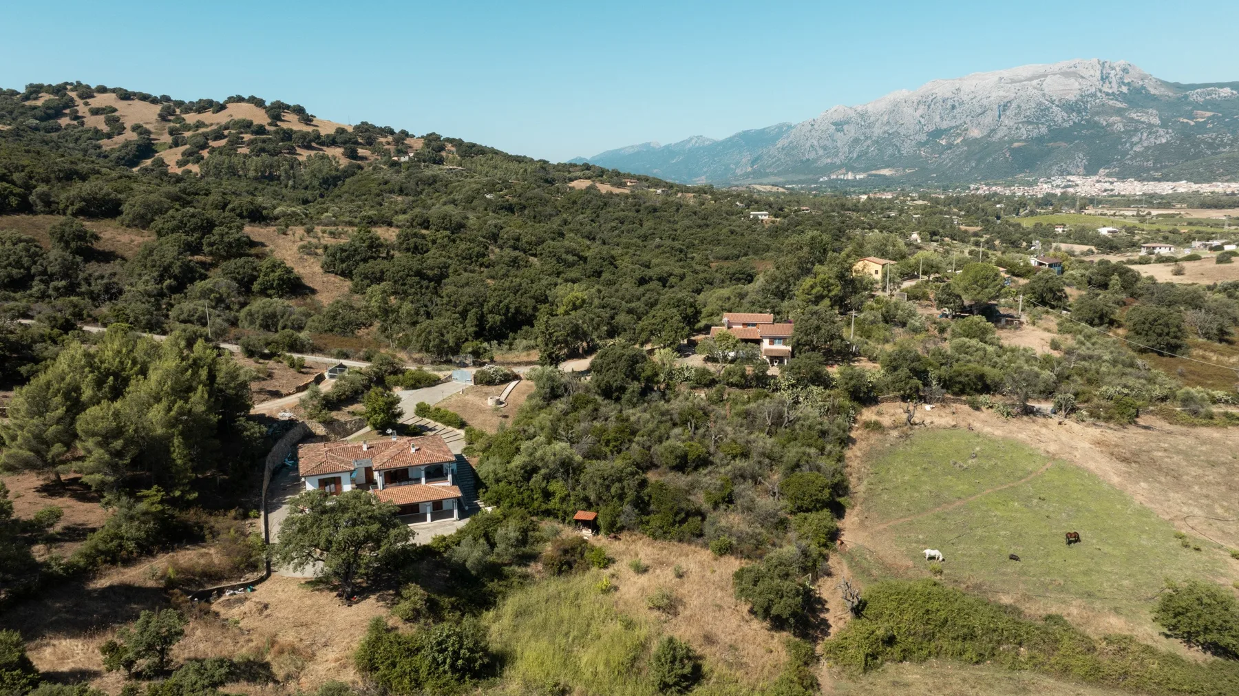 A rural landscape with scattered homes, rolling hills, and mountains in the distance.