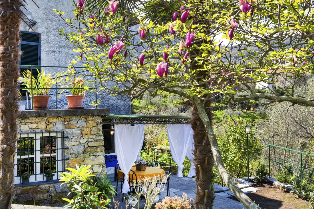 Comedor al aire libre bajo un árbol en flor, junto a un edificio de piedra.