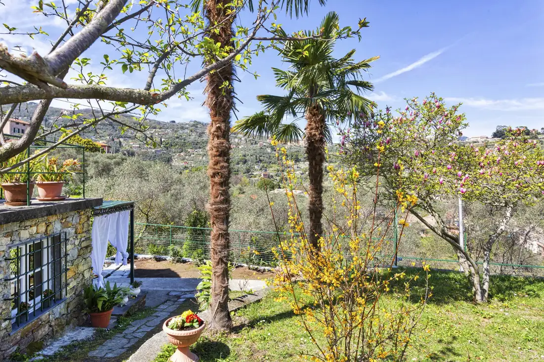 Un jardín soleado con palmeras, arbustos floridos y una terraza de piedra.