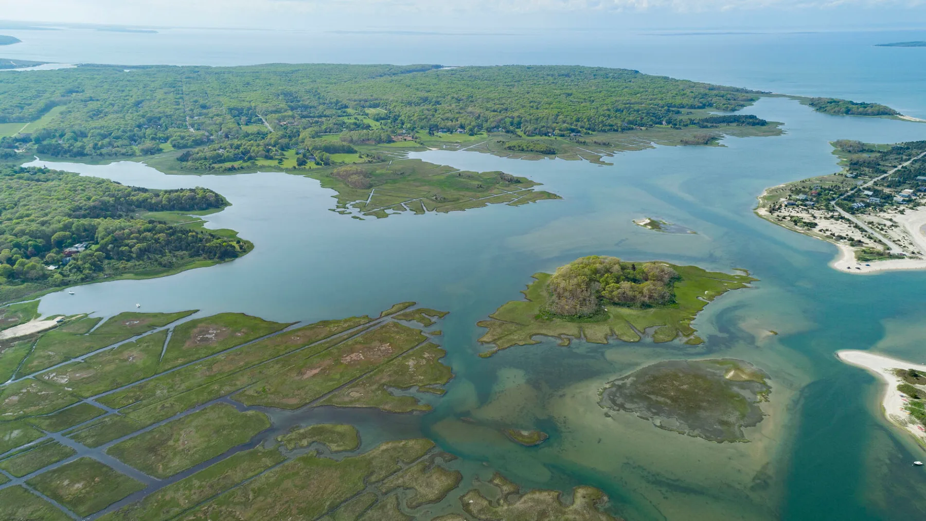 Aerial view of a coastal estuary, with winding waterways, marshland, and forested shoreline.