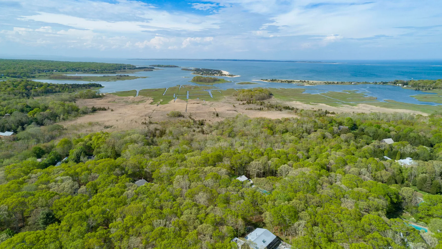 An aerial view shows coastal wetlands, green woodland, and the ocean beyond.