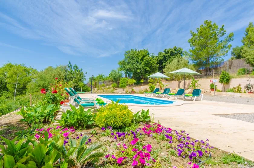 An outdoor swimming pool is surrounded by lounge seating, umbrellas, and flowering plants.