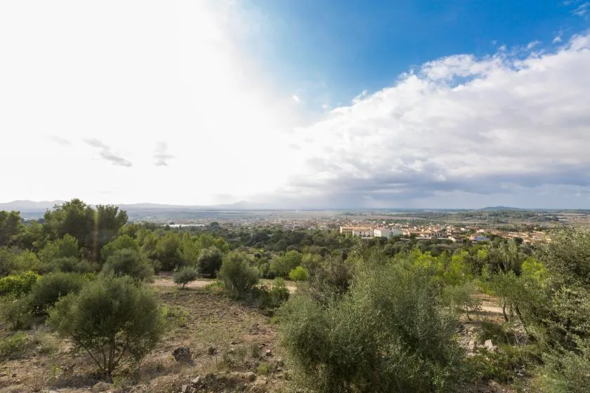 A green landscape with scattered trees overlooks a distant town beneath a cloudy sky.