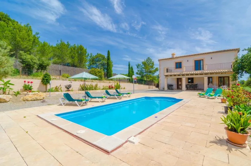 Outdoor swimming pool beside a patio, with a house and greenery in the background.