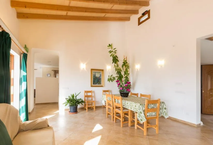 A bright dining room with a wooden table, chairs, and leafy plants.