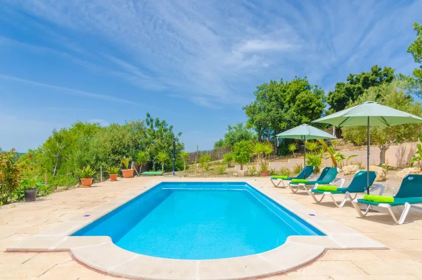 A swimming pool sits in a sunny outdoor patio surrounded by greenery.