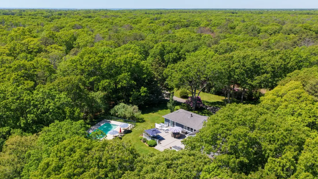 Una casa y una piscina están rodeadas por una densa extensión de árboles verdes.