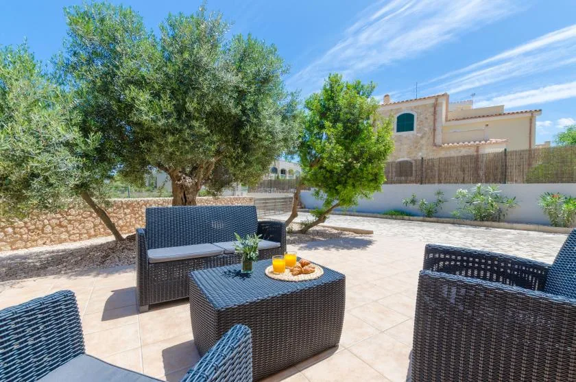 Un patio exterior tiene asientos trenzados y una mesa bajo árboles frondosos.
