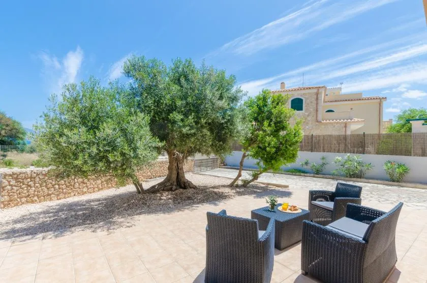 Un patio al aire libre con asientos y una mesa bajo árboles frondosos.