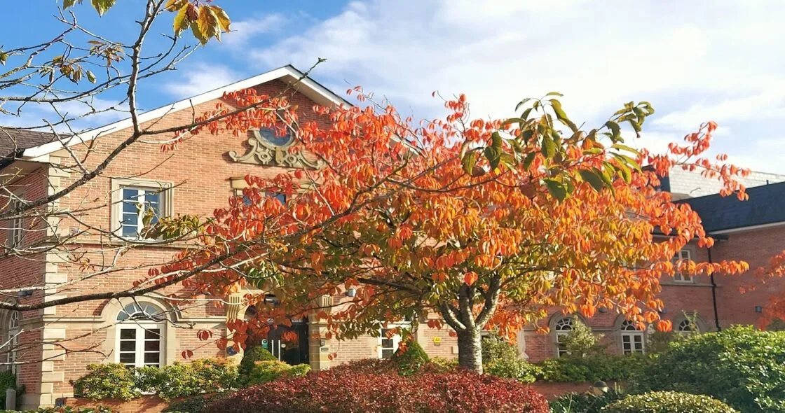 Hotel exterior in autumn