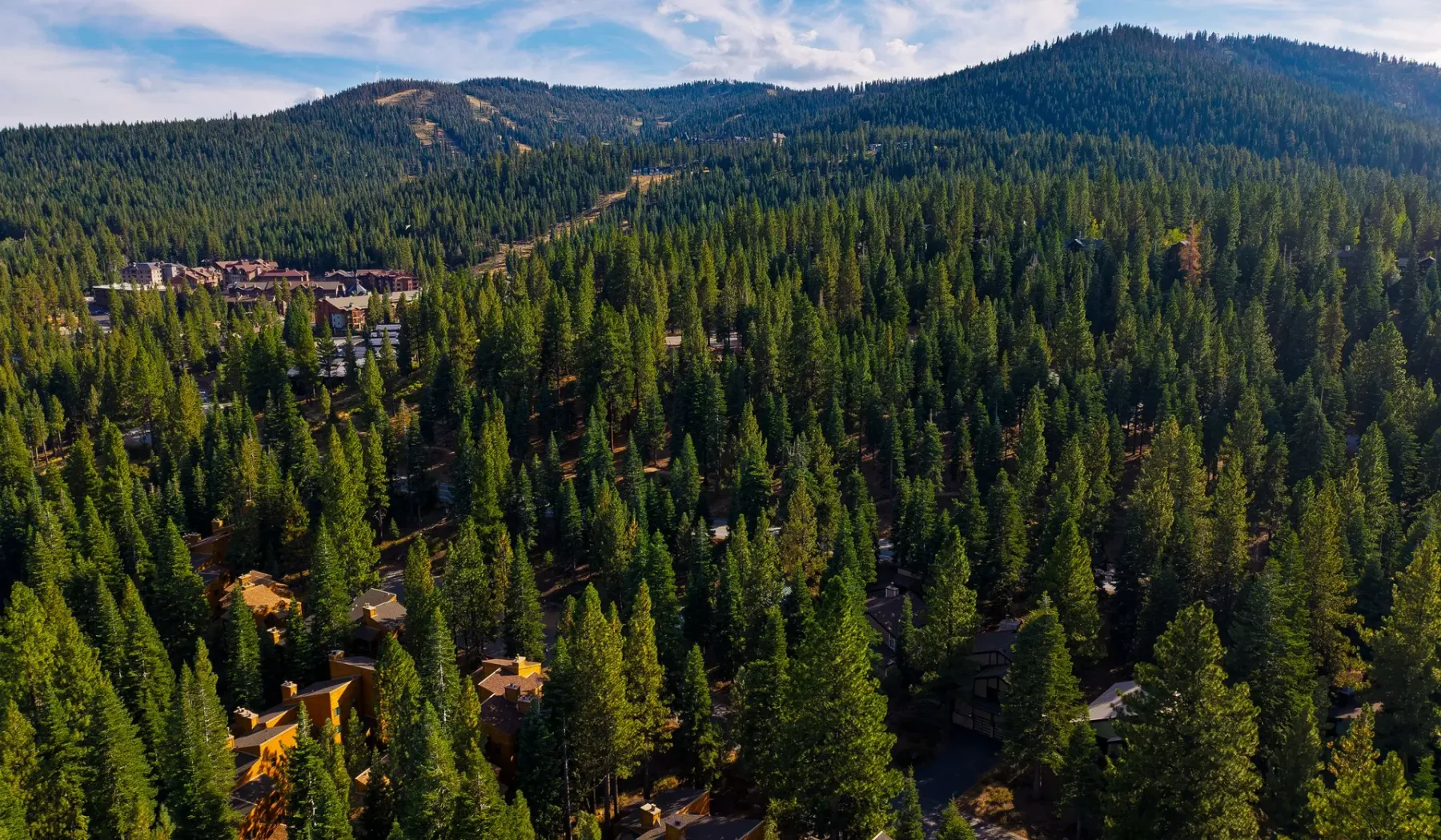Un paisaje montañoso boscoso con edificios dispersos entre los árboles.