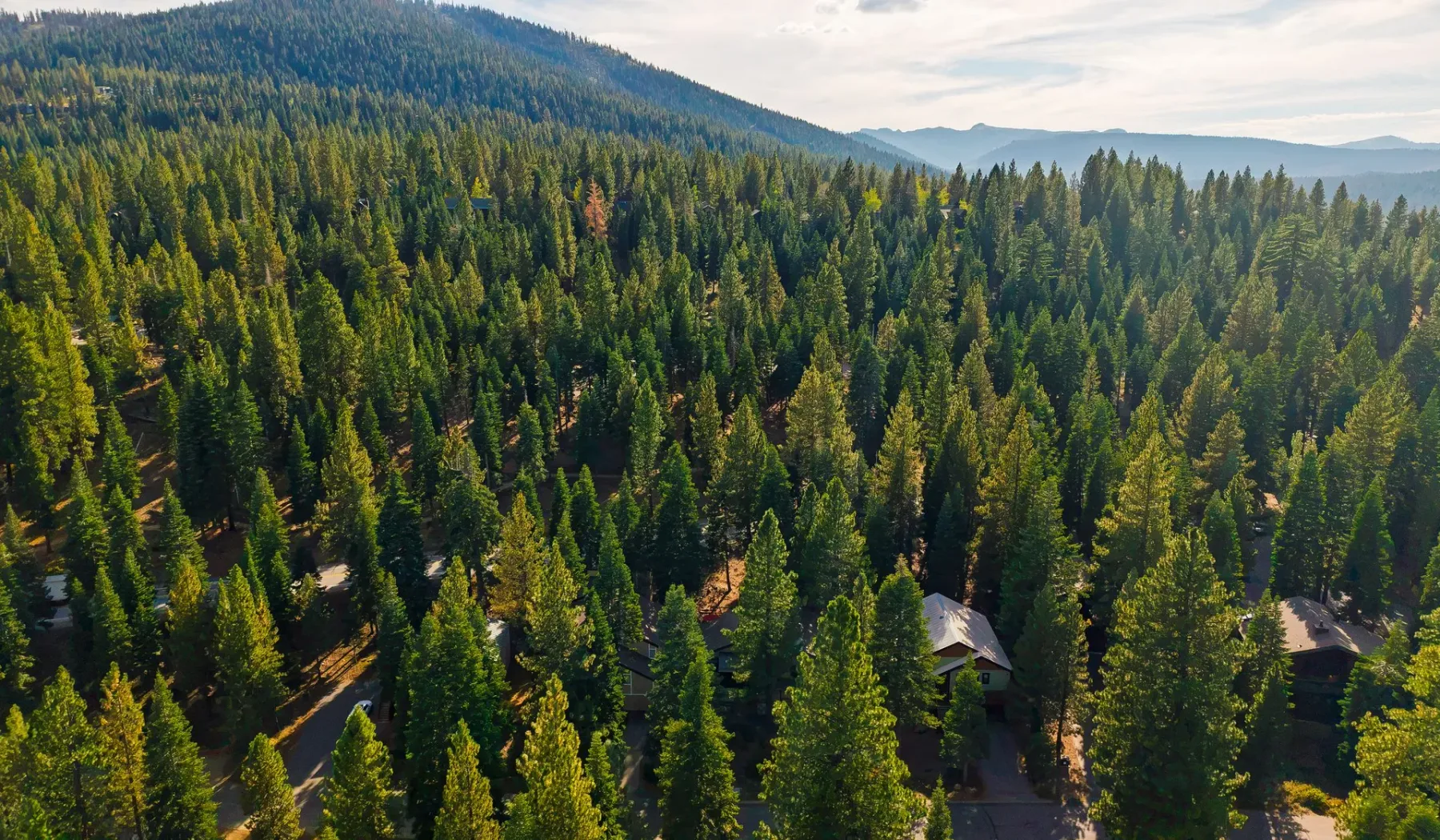 Un paisaje montañoso boscoso con edificios dispersos entre los árboles.