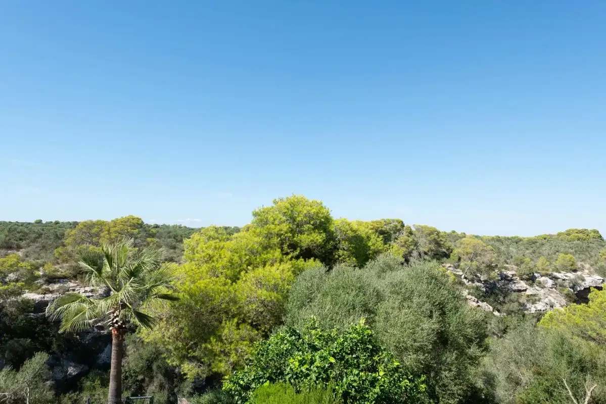 A green landscape of trees and shrubs beneath a clear blue sky.