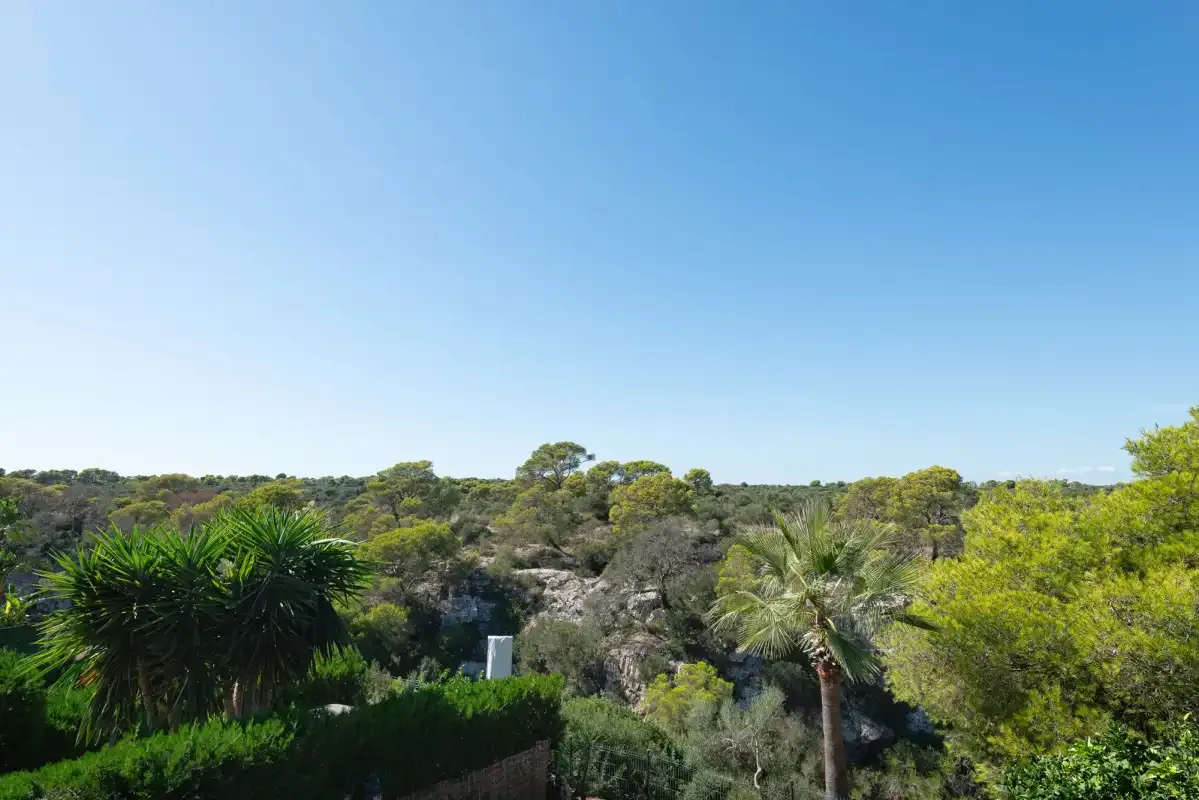 A sunlit landscape of low greenery and trees beneath a clear blue sky.