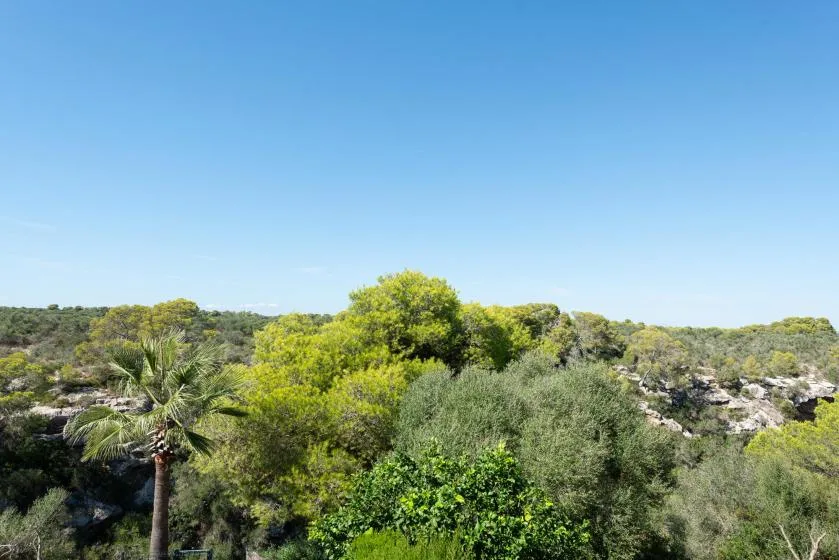 A green landscape of trees and shrubs beneath a clear blue sky.