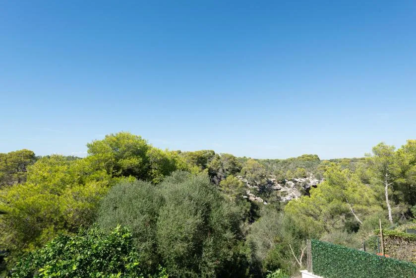 A green wooded landscape stretches beneath a clear blue sky.