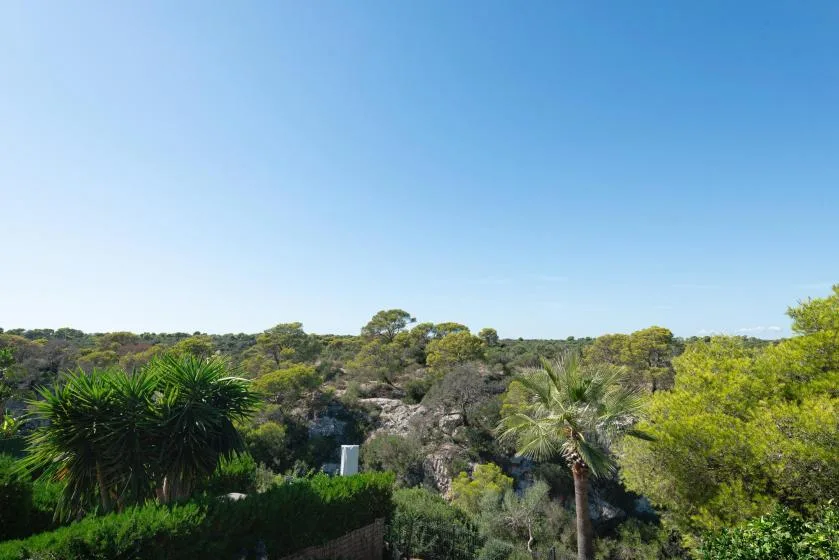 A clear blue sky stretches above a green, tree-covered landscape.