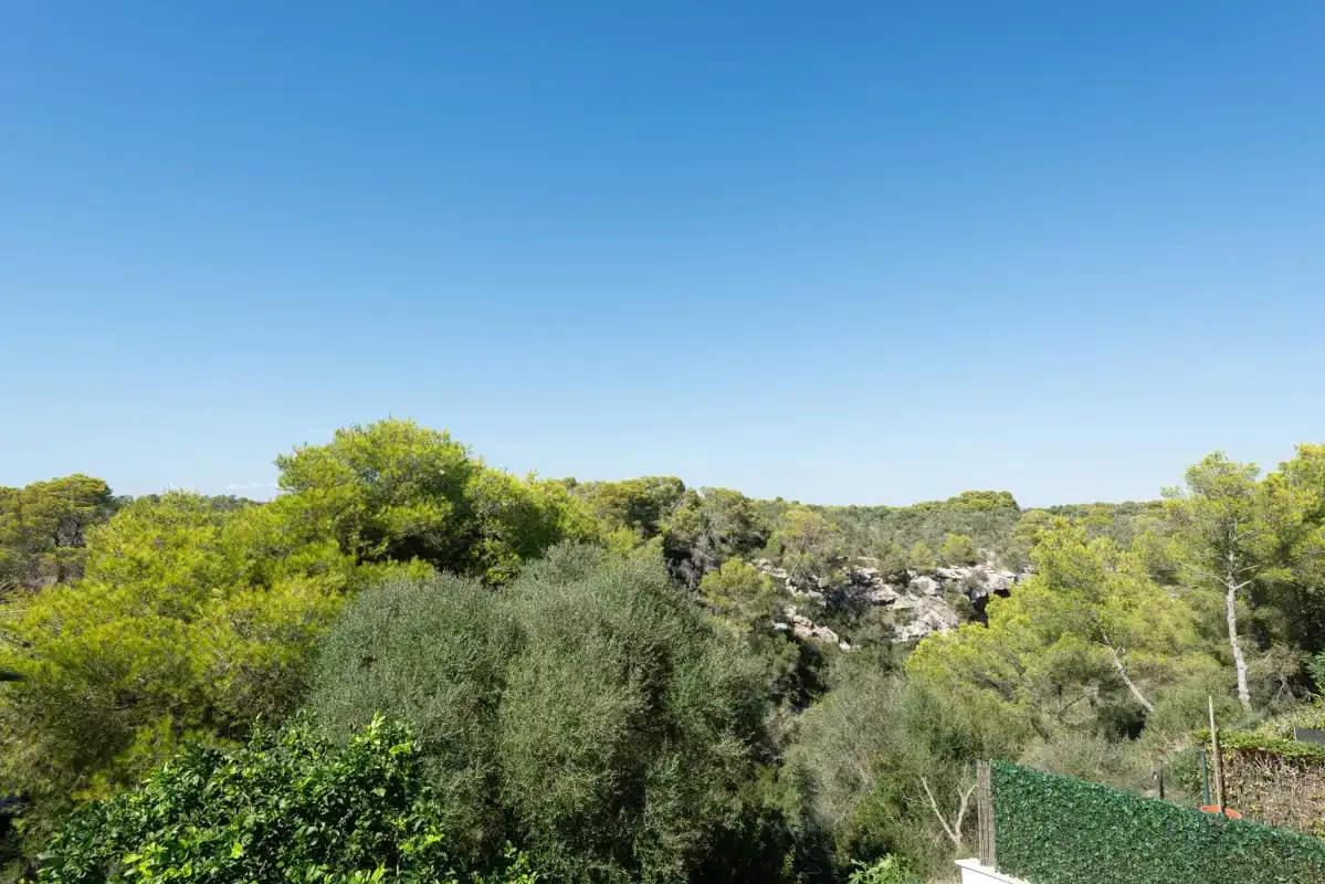 A clear blue sky stretches over a wooded landscape.