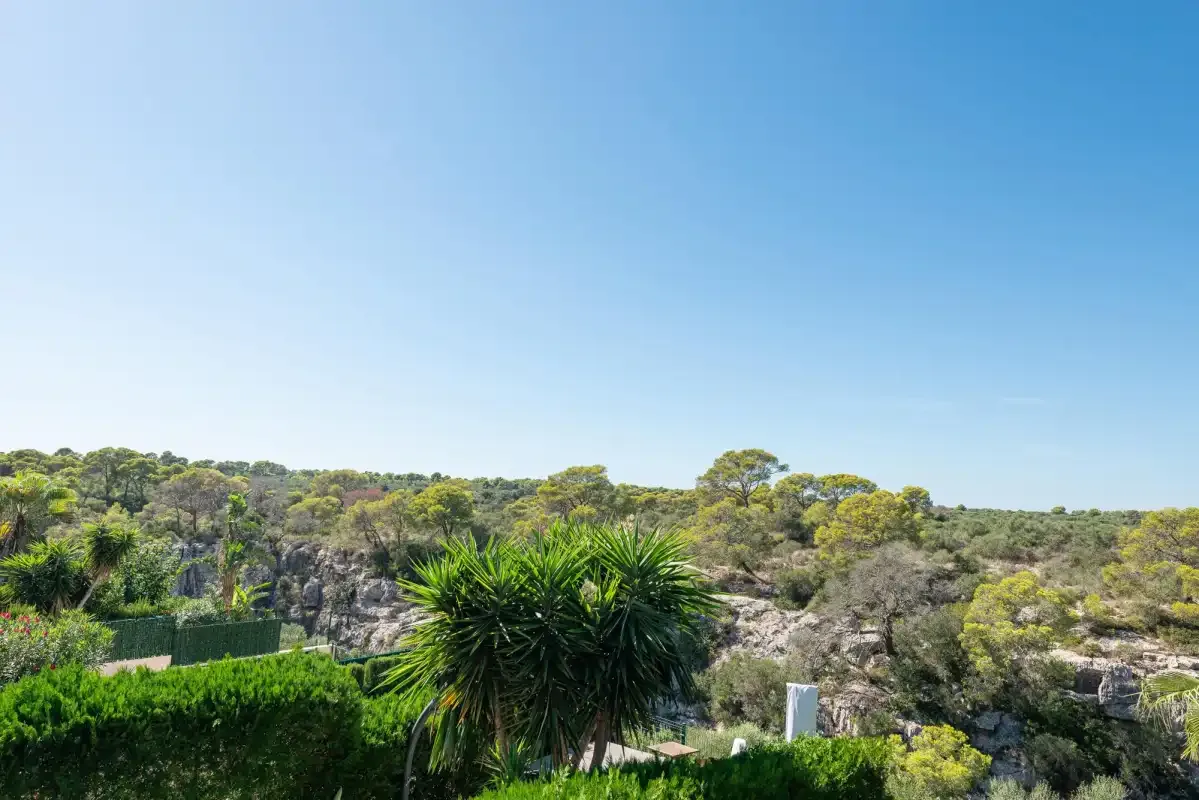 A sunny landscape with green shrubs and trees beneath a clear blue sky.
