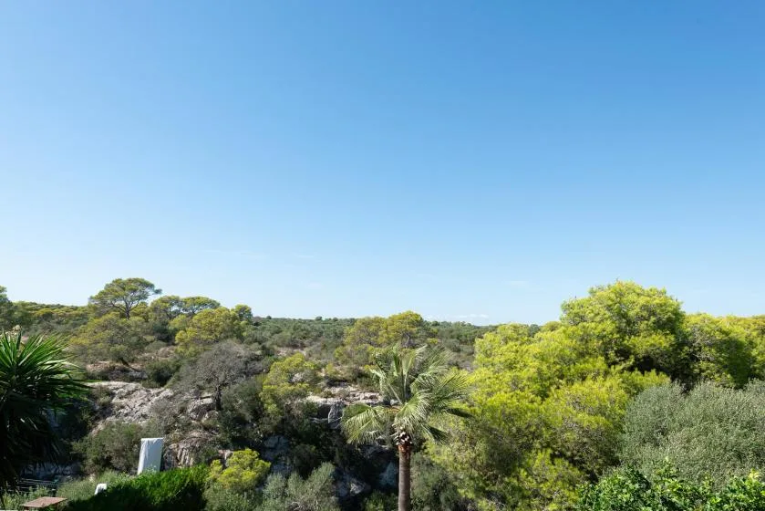 A clear blue sky stretches above a green, tree-covered landscape.