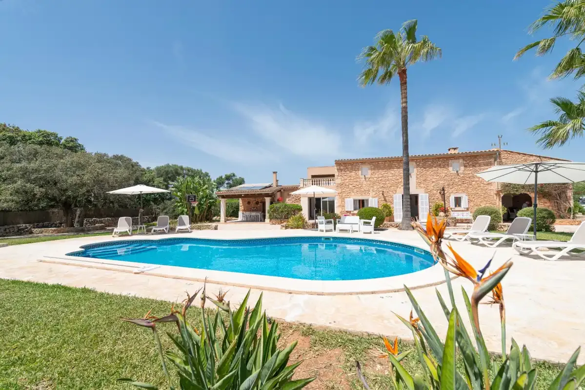 A swimming pool sits in front of a brick house, with palm trees and garden plants.