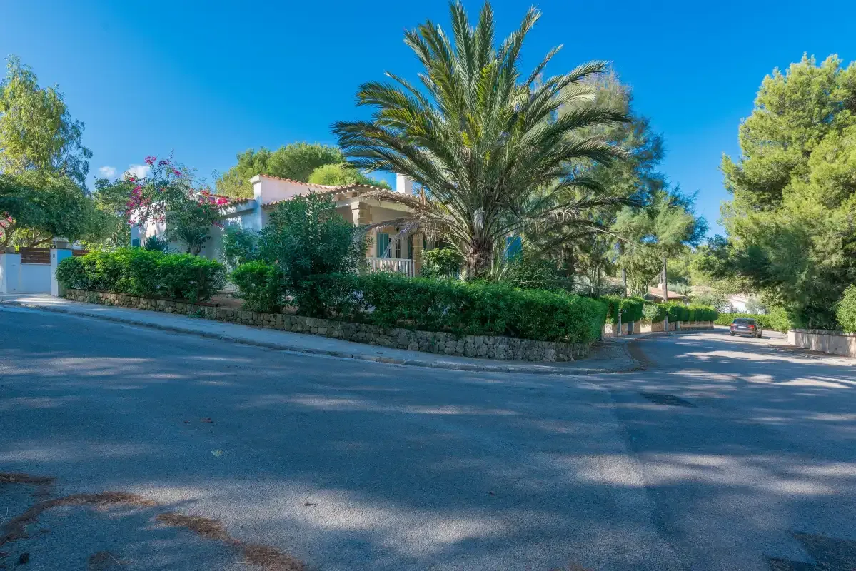 Una calle residencial arbolada con una casa detrás de un seto.