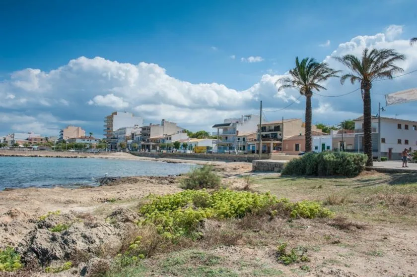 A coastal waterfront with low buildings, palm trees, and a rocky shoreline.