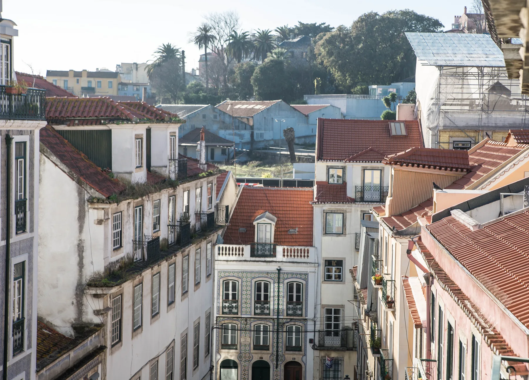 A city view of closely packed buildings with red tile roofs and trees in the background.