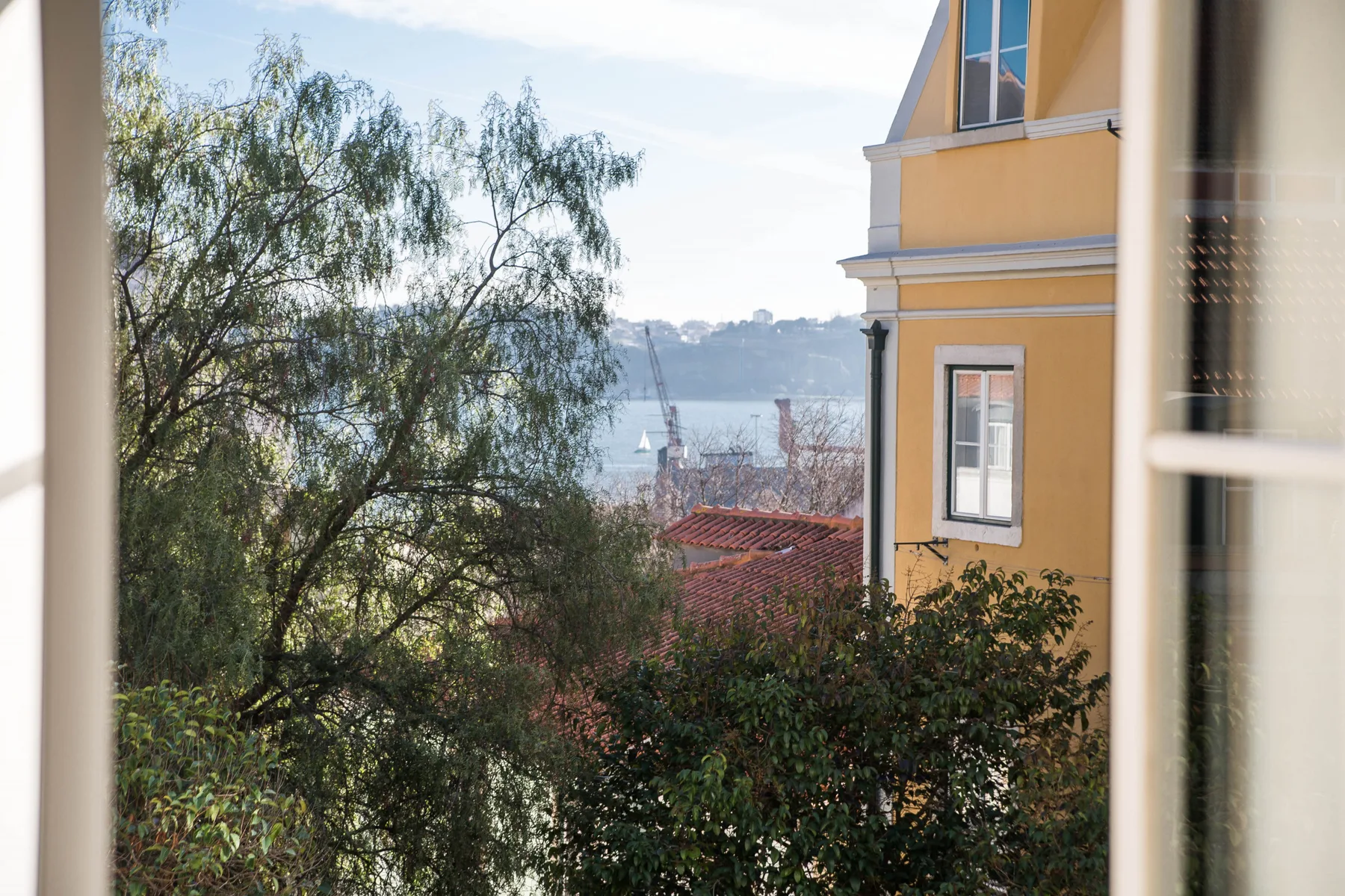 A leafy view through a window toward nearby rooftops and water.