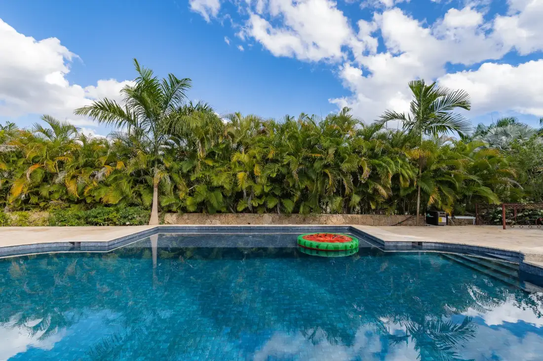 An outdoor swimming pool sits beside a lush row of palm trees.