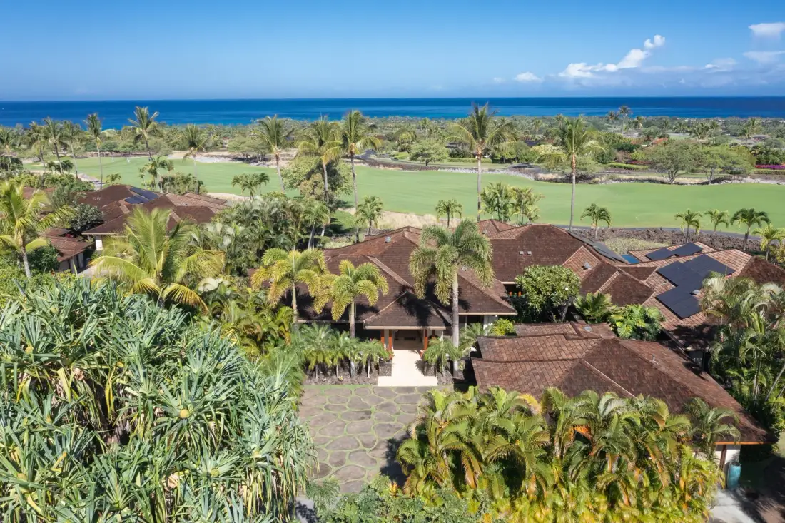 Aerial view of tropical resort buildings among palms, with the ocean beyond.