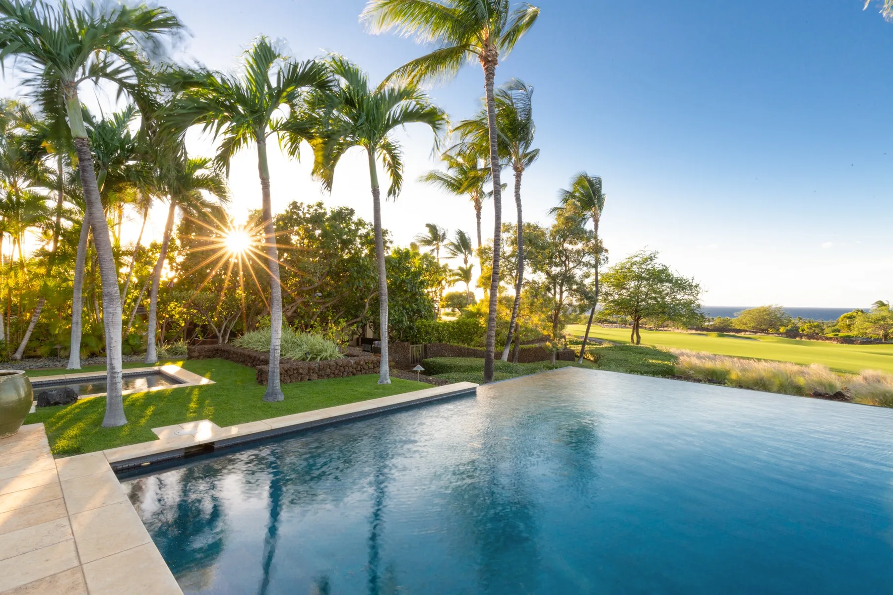 An outdoor swimming pool overlooks a green landscape lined with palm trees.