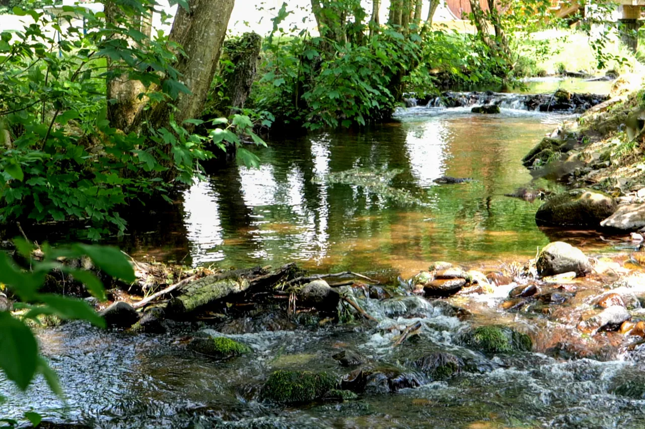 Río Hasel