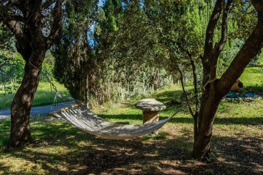 A hammock hangs between trees in a shady, wooded outdoor area.