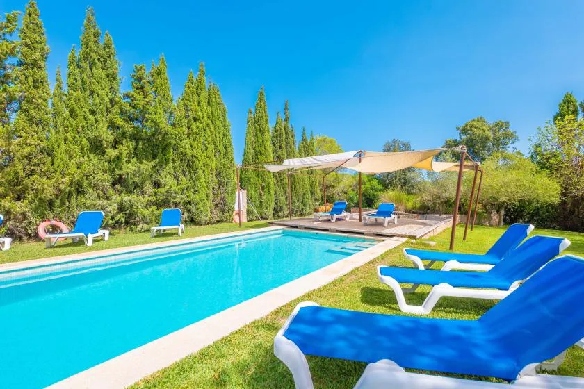 An outdoor swimming pool with blue lounge chairs and shade canopies.