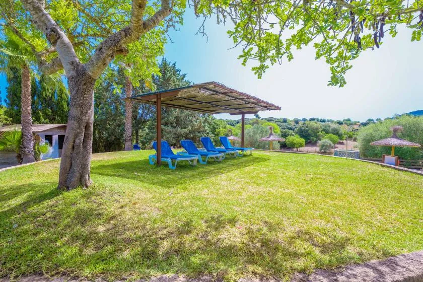 A grassy outdoor area with blue lounge seating beneath a shaded canopy.